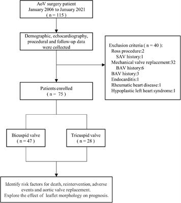 Long-term outcomes of primary aortic valve repair in children with congenital aortic stenosis – 15-year experience at a single center